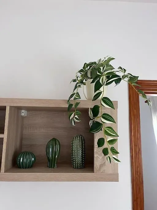 Apartamento Casa Lunita Arona